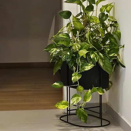 Terra Apartamento *